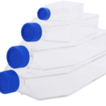 Cell Culture Flasks, PS