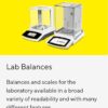 Lab Weighing - Image 5